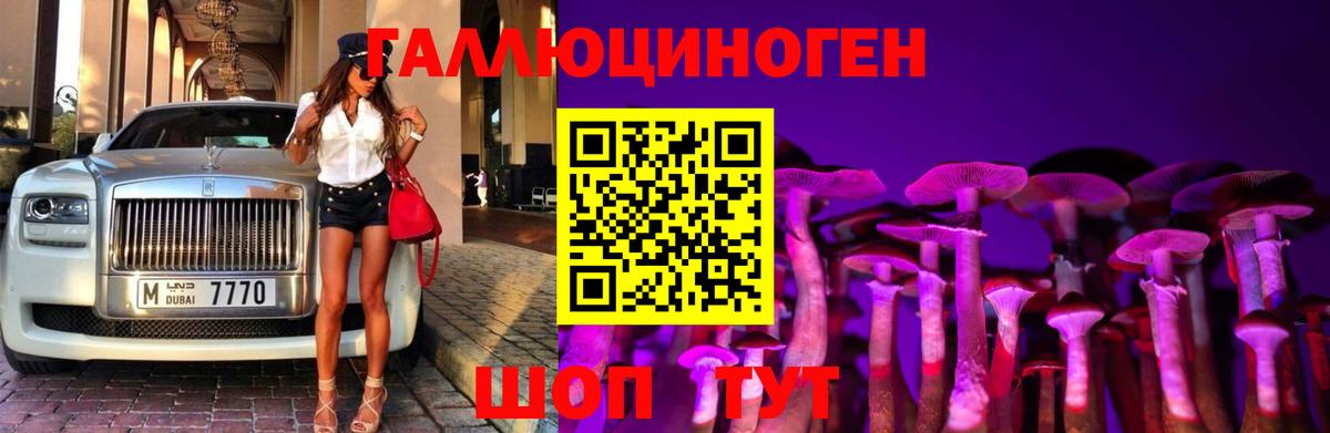 Псилоцибиновые грибы Psilocybine cubensis Борисоглебск